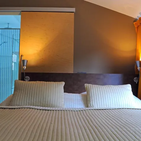 Hotel Kokorin 4*