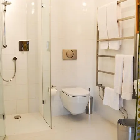 Hotel Kokorin 4*