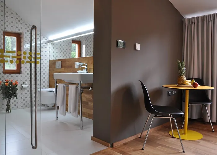 Ξενοδοχείο Hotel Kokorin 4*