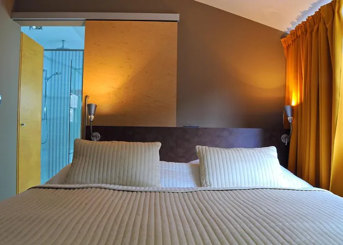 Hotel Kokorin 4*